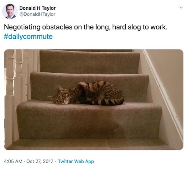 Commuter Life Tweets (30 pics)