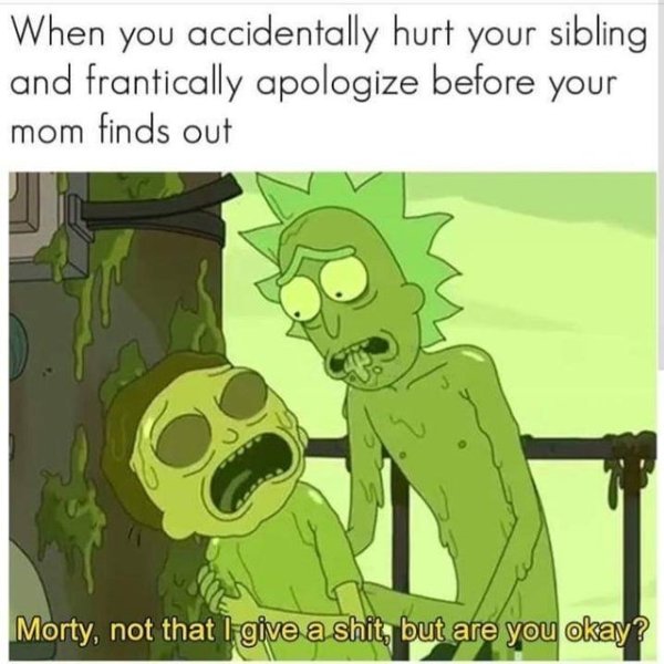 "Rick And Morty S. 4" Memes (34 pics)