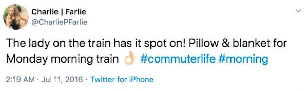 Commuter Life Tweets (30 pics)