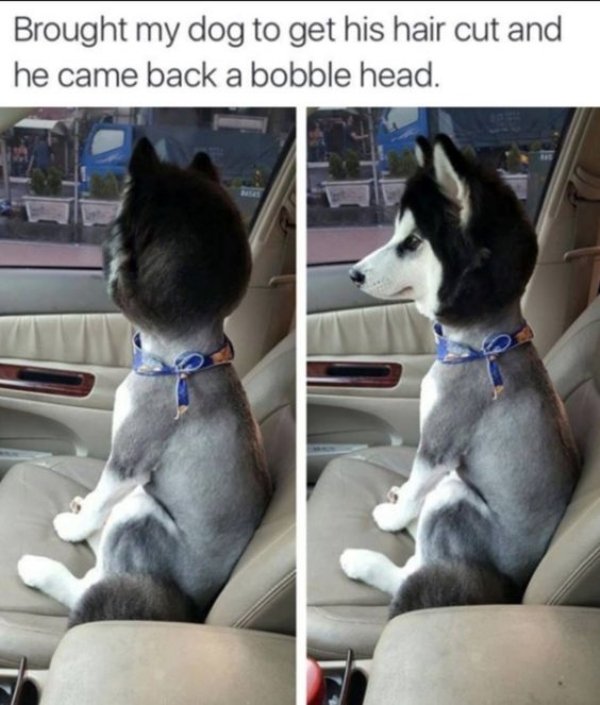 Bad Day (25 pics)