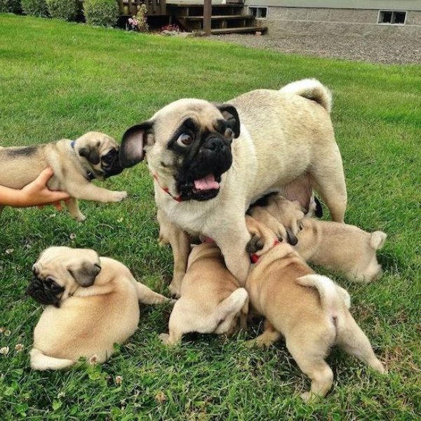 Bad Day (25 pics)