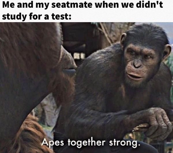 Random Memes (25 pics)