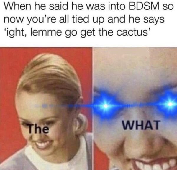 Random Memes (25 pics)