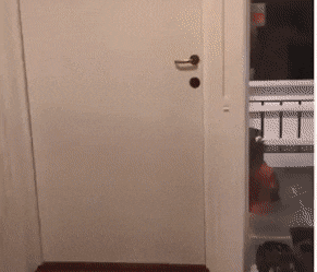 Acid Gifdump, November 11 (25 gifs)