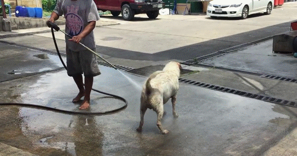 Acid Gifdump, November 11 (25 gifs)