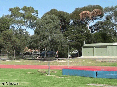 Acid Gifdump, November 11 (25 gifs)