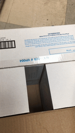 Acid Gifdump, November 11 (25 gifs)