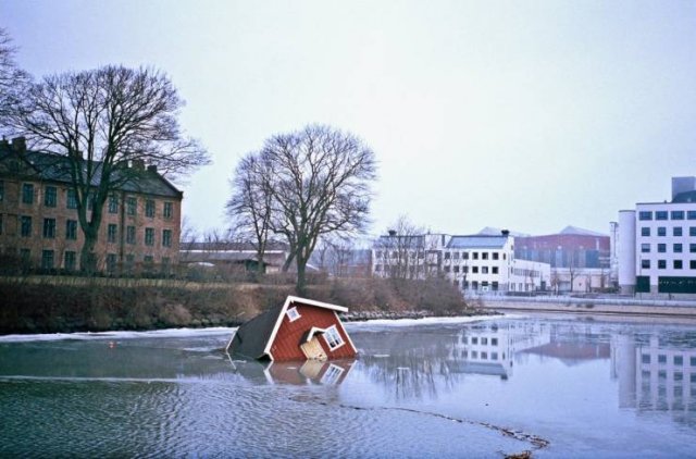Bad Day (51 pics)