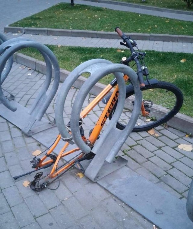 Bad Day (51 pics)