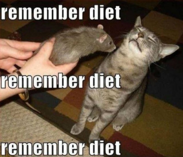 Random Funny Memes (38 pics)