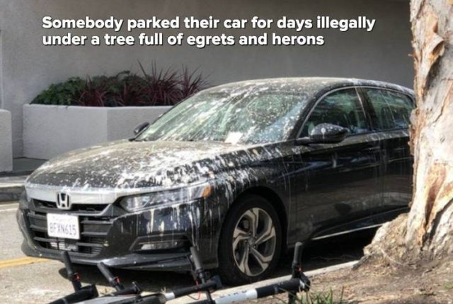 Bad Day (51 pics)