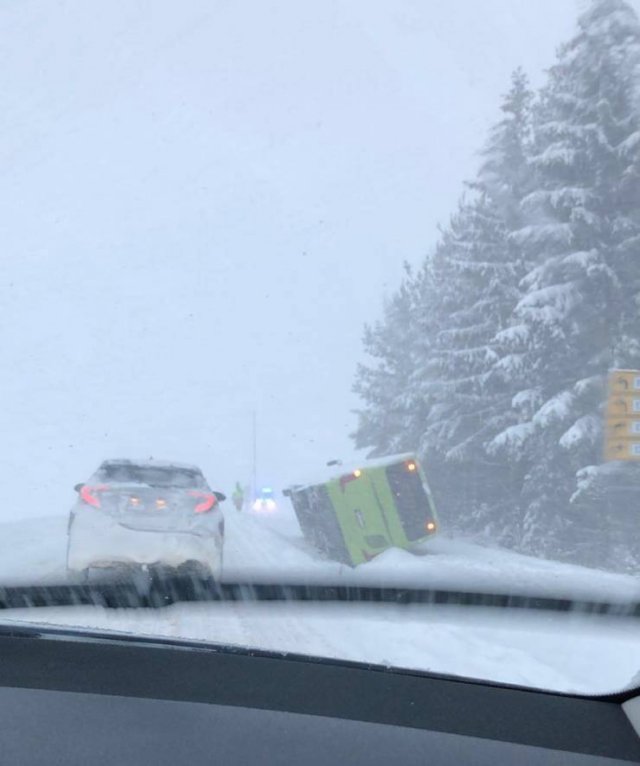 Bad Day (51 pics)