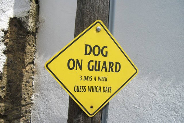 Weird Signs (40 pics)