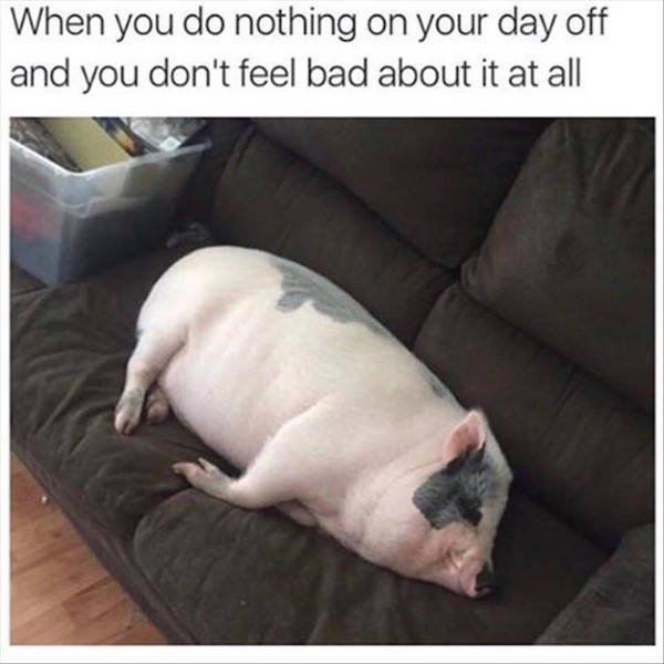 Random Funny Memes (38 pics)