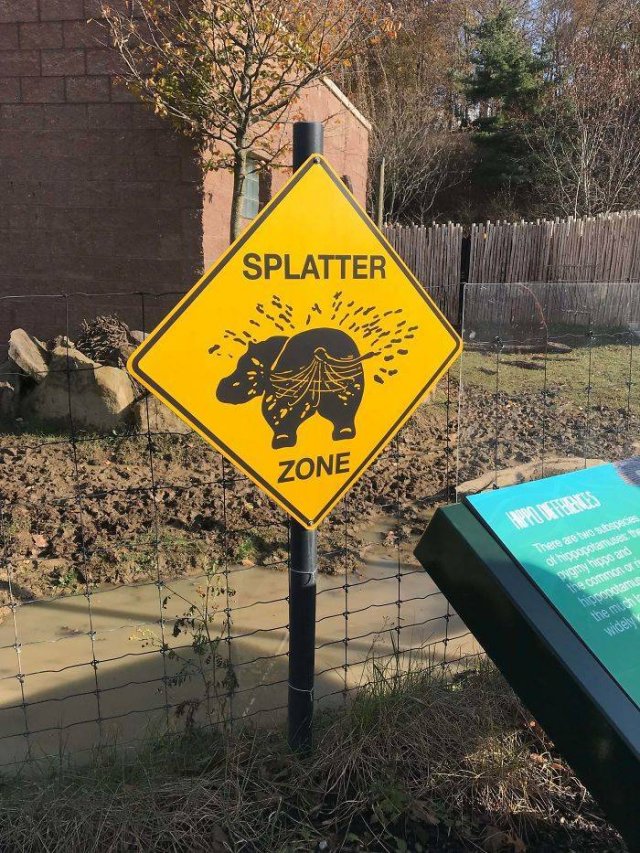 Weird Signs (40 pics)