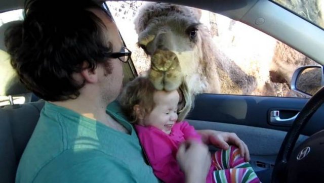 Bad Day (51 pics)