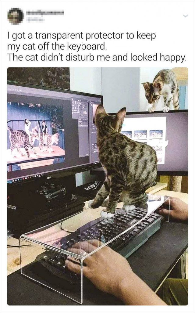 When You Are Smart (16 pics)