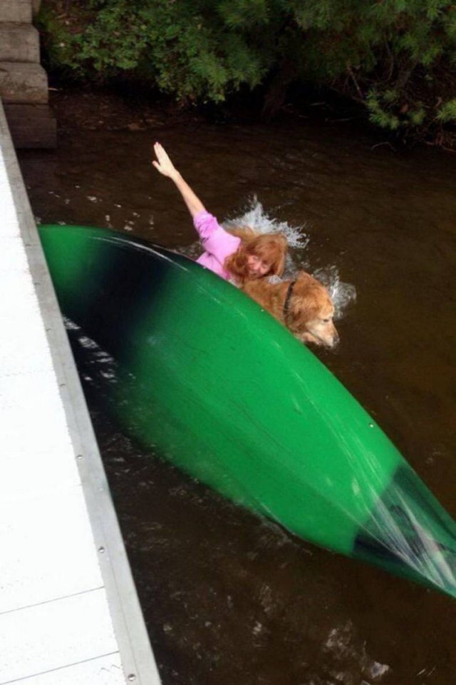 Bad Day (51 pics)