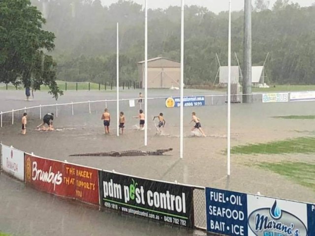 Bad Day (51 pics)
