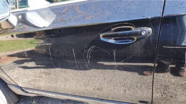 WTF Pictures (34 pics)
