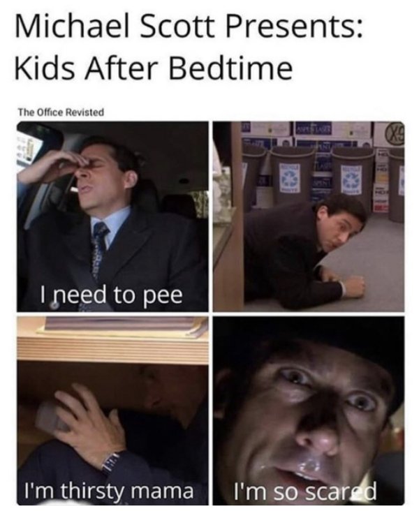 ‘The Office’ Memes (32 pics)