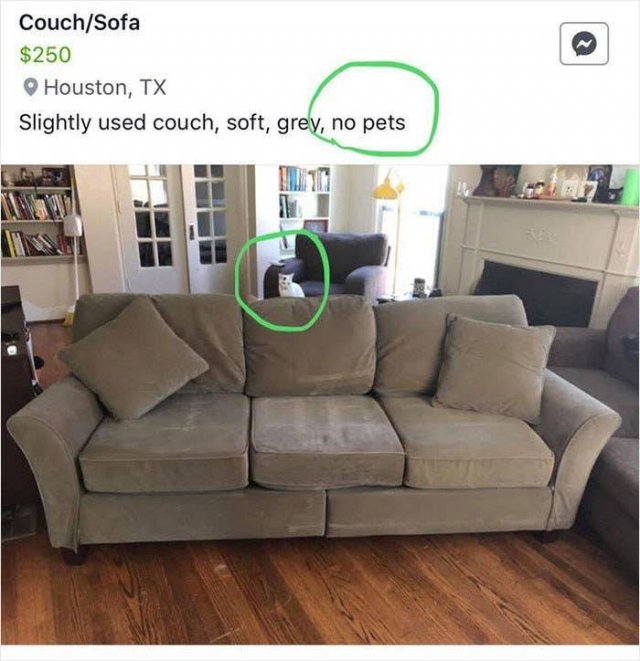When You Obviously Lie (22 pics)