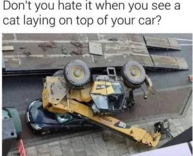 Bad Day (19 pics)