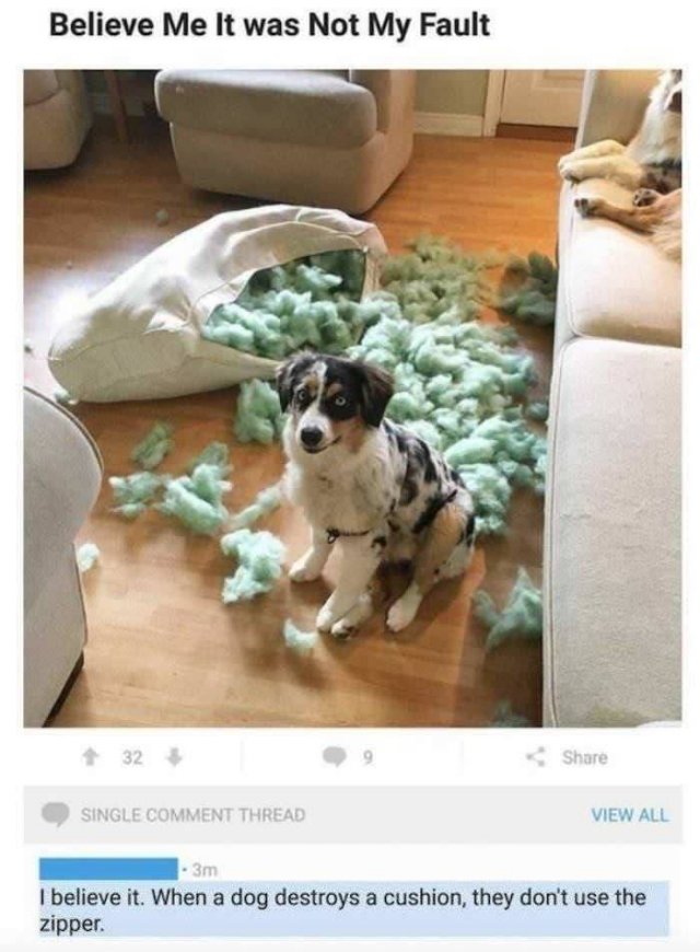 When You Obviously Lie (22 pics)