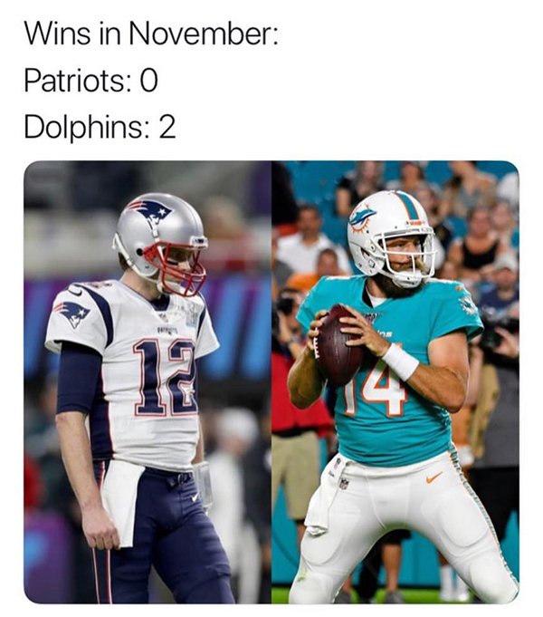 NFL Memes (48 pics)