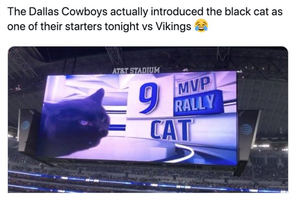 NFL Memes (48 pics)