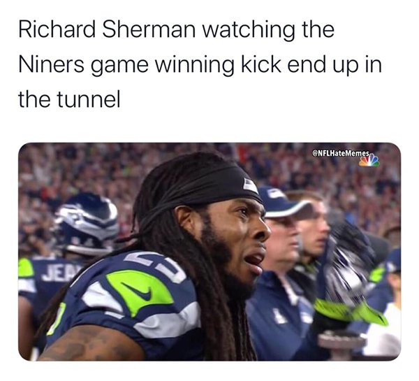 NFL Memes (48 pics)