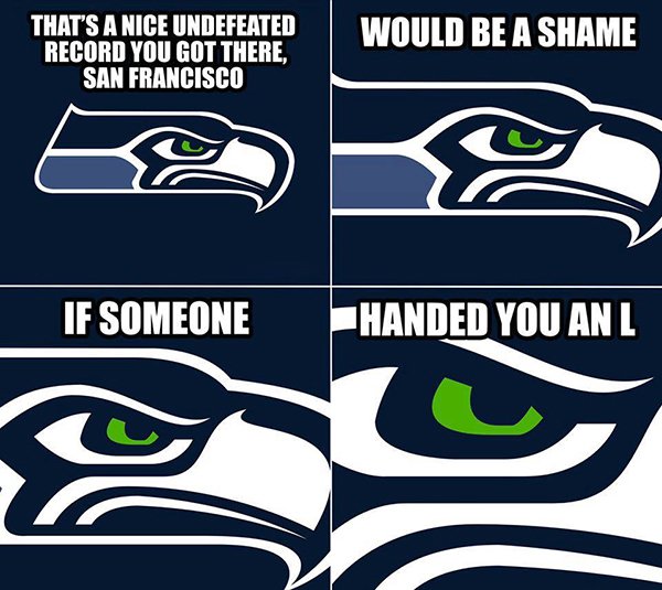 NFL Memes (48 pics)