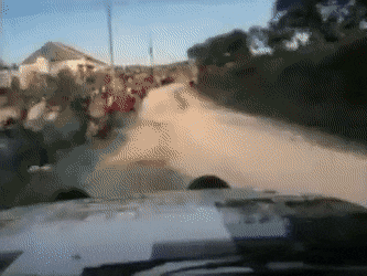 Acid Gifdump, November 13 (25 gifs)