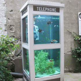 Acid Gifdump, November 13 (25 gifs)