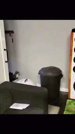 Acid Gifdump, November 13 (25 gifs)