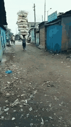 Acid Gifdump, November 13 (25 gifs)