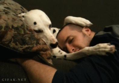 Acid Gifdump, November 13 (25 gifs)