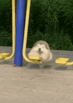 Acid Gifdump, November 13 (25 gifs)