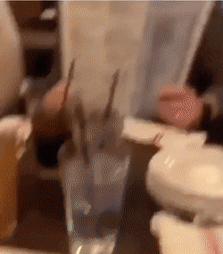 Acid Gifdump, November 13 (25 gifs)