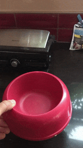 Acid Gifdump, November 13 (25 gifs)