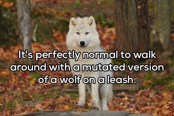Shower Thoughts (19 pics)