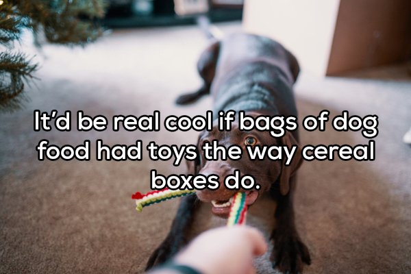 Shower Thoughts (19 pics)