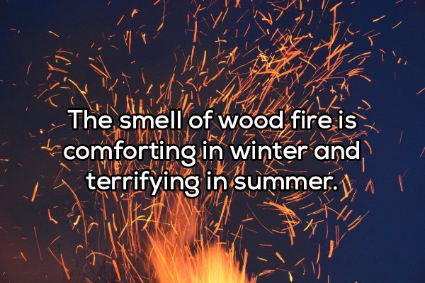 Shower Thoughts (19 pics)