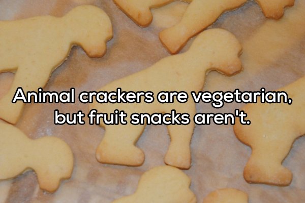 Shower Thoughts (19 pics)
