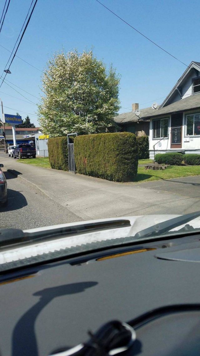 It Doesn't Look Right (48 pics)