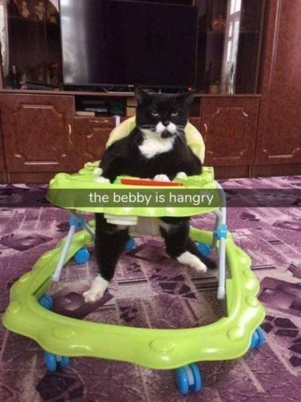 Acid Picdump. Part 1 (127 pics)