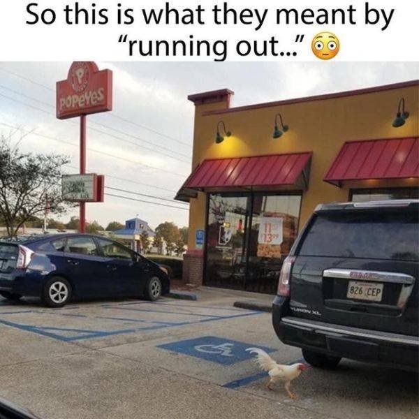 Acid Picdump. Part 1 (127 pics)