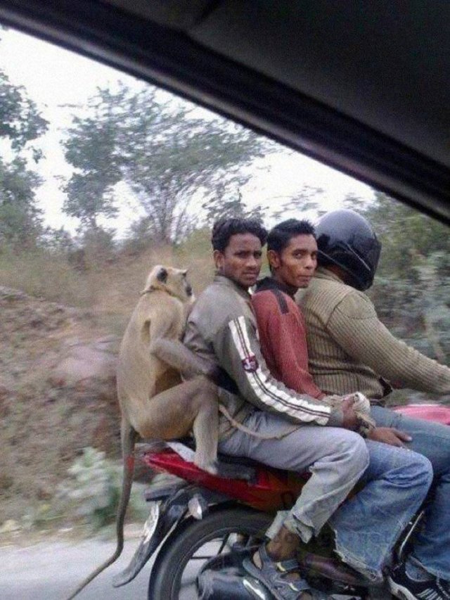 Acid Picdump. Part 1 (127 pics)