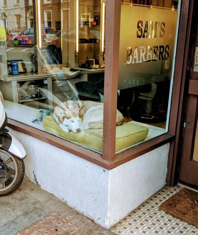 Acid Picdump. Part 1 (127 pics)