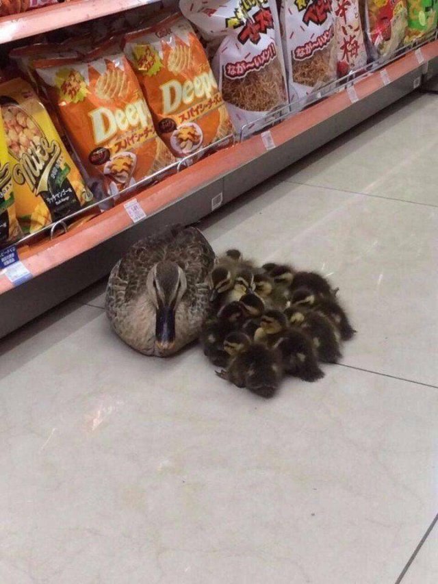 Acid Picdump. Part 1 (127 pics)
